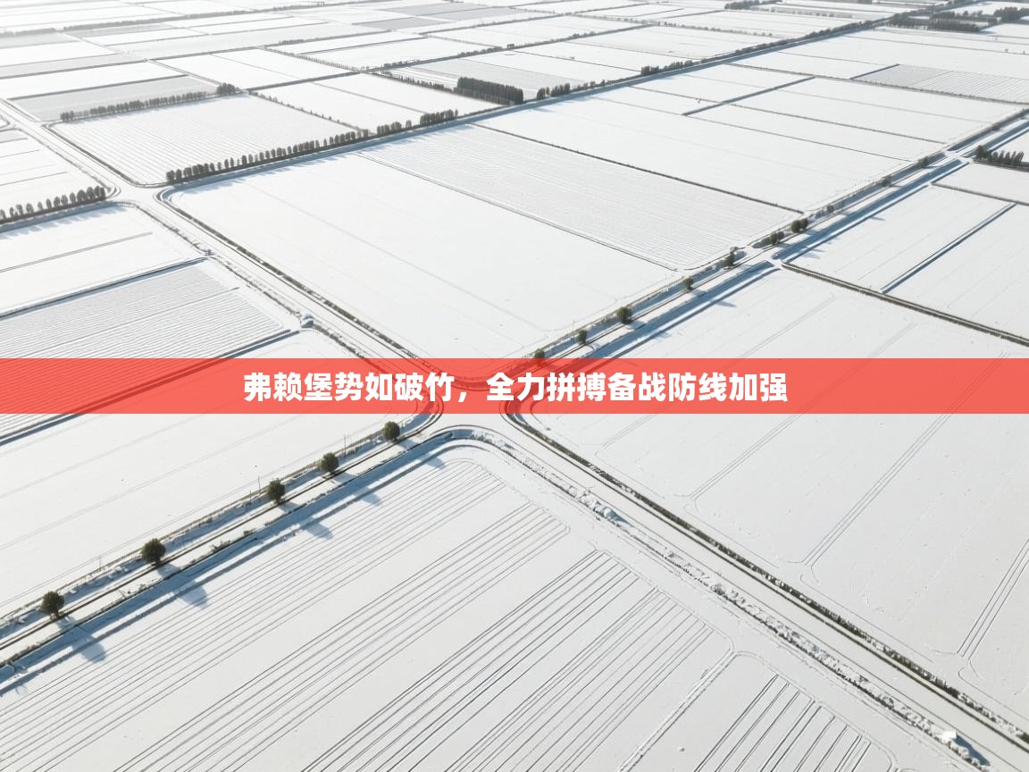 开云体育app下载安装免费-弗赖堡势如破竹，全力拼搏备战防线加强  第1张