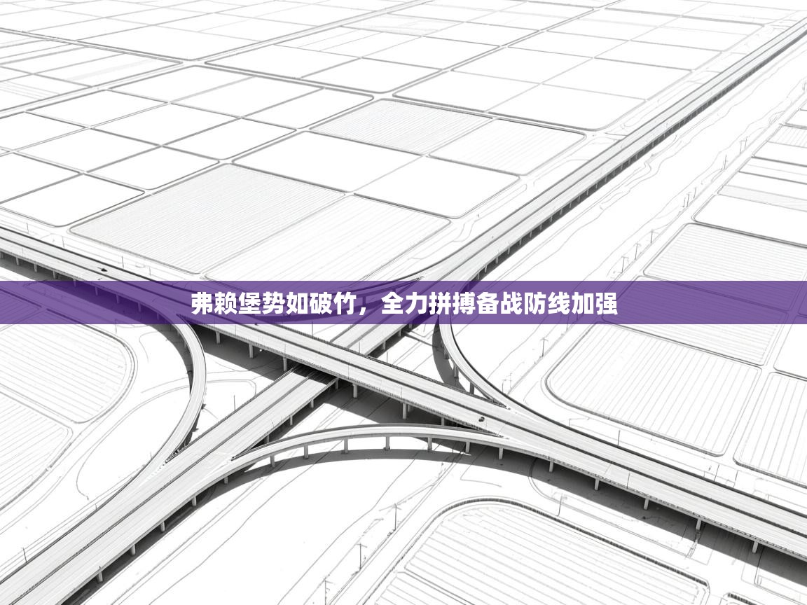 开云体育app下载安装免费-弗赖堡势如破竹，全力拼搏备战防线加强  第2张