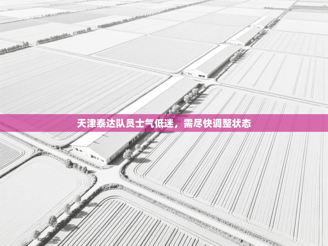 开云体育登录入口-天津泰达队员士气低迷，需尽快调整状态  第2张