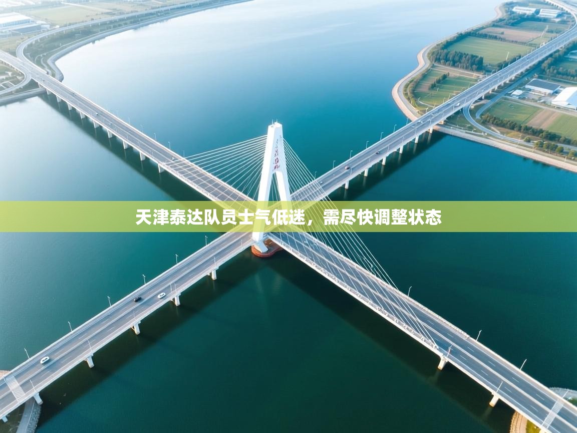 开云体育登录入口-天津泰达队员士气低迷，需尽快调整状态  第3张