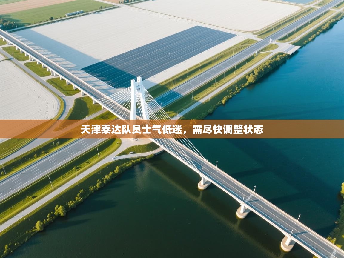 开云体育登录入口-天津泰达队员士气低迷，需尽快调整状态  第4张